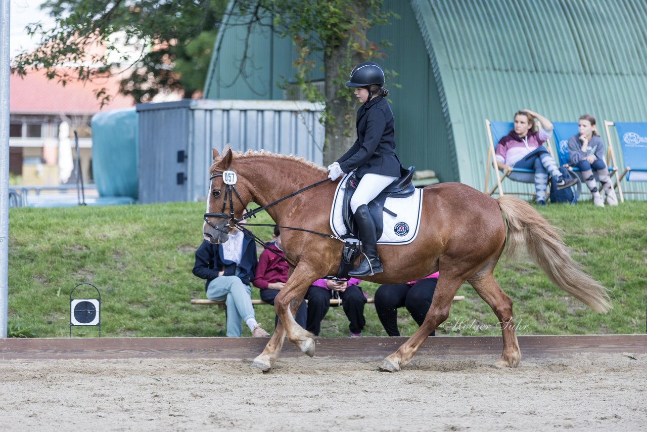 Bild 83 - Pony Akademie Turnier